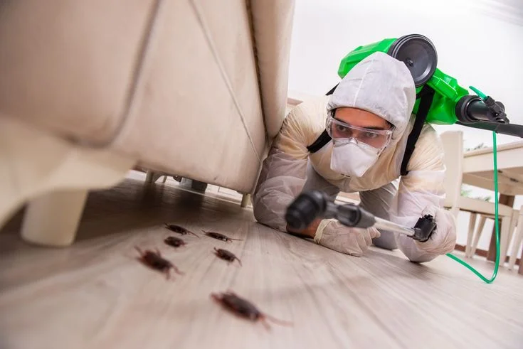 Cockroach & Mosquito Control Service